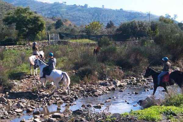 Etna horse riding tour
